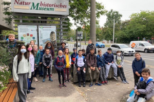 Bild Museum